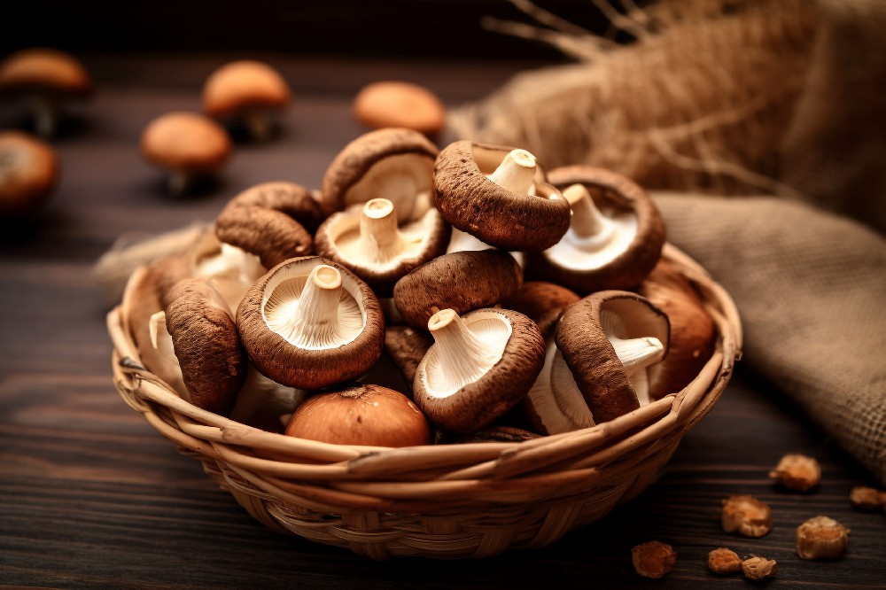摄图网_600194006_banner_美味香菇特写（企业商用）.jpg