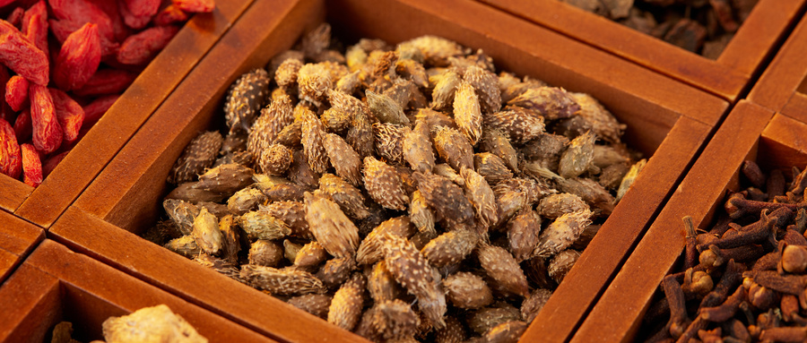 成都普济中医印传方：“癌性体质” 不改变，肿瘤侵袭和转移就难以控制！